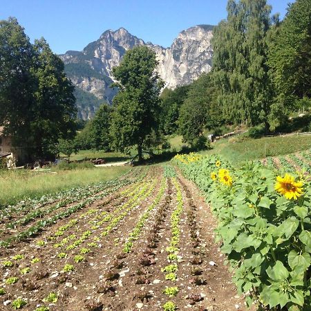 Bauernhof Hof Unternberg Leilighet Magre all' Adige Eksteriør bilde
